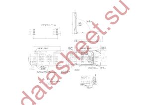 C707 10M006 5002 datasheet  